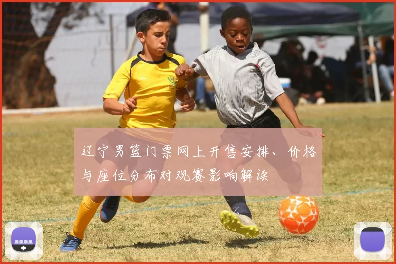 辽宁男篮门票网上开售安排、价格与座位分布对观赛影响解读