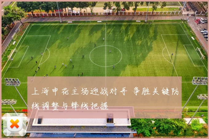 上海申花主场迎战对手 争胜关键防线调整与锋线把握